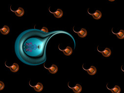     527240 (a): :1650x1237