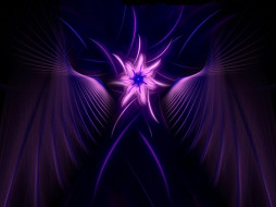     527258 (a): :1600x1200