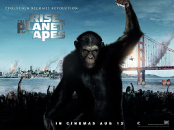 Rise of the Planet of the Apes     1600x1200 rise, of, the, planet, apes, , , , 