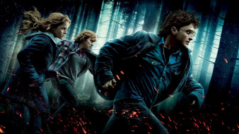      1920x1080 , , harry, potter, and, the, deathly, hallows, part, , , 
