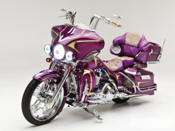 2002, harley, davidson, road, king, мотоциклы, customs