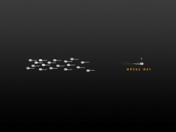     531577 (a): 89 :1600x1200