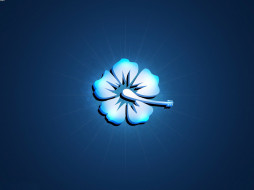     531684 (a): :1600x1200