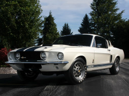 shelby, gt500, , mustang