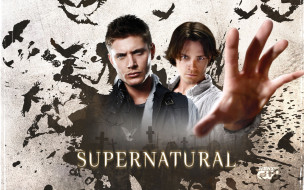 Supernatural     1920x1200 supernatural, , , jared, padalecki, dean, winchester, sam, , jensen, ackles