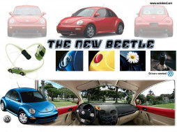 new beetle     1024x768 