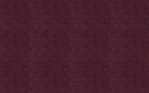    536305 (a): :1920x1200