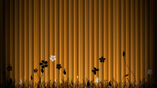     536384 (a): :1920x1080