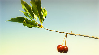     536992 (a): :1920x1080