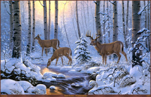 Derk Hansen - Winter Sunrise     2453x1581 derk, hansen, winter, sunrise, , , , , , , , 