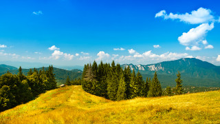     541456 (a):MariJane :1920x1080