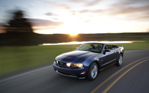 ford mustang     2560x1600 ford, mustang, , mystang, , 