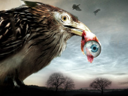 Flu Bird Horror обои для рабочего стола 1600x1200 flu, bird, horror, кино, фильмы, глаз, птица