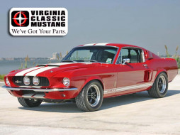 mustang, gt500, 1967, , ford
