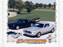 mustang, , ford