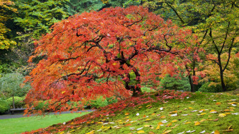     568003 (a): :1920x1080