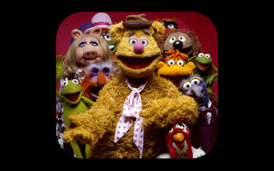 The Muppet Show     2560x1600 the, muppet, show, , , 