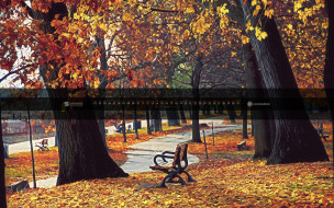     580976 (a):ARWENN :1920x1200