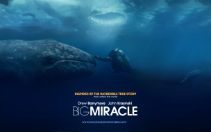 big, miracle, , 