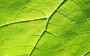     583978 (a): :1920x1200