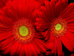     584205 (a): :1600x1208