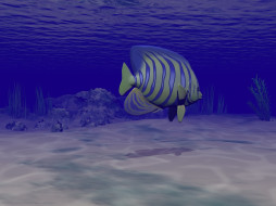      1600x1200 3, , sea, undersea, , 