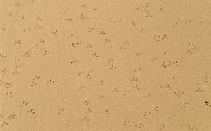     588013 (a): :1920x1200