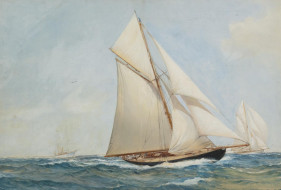 montague, dawson, , , 