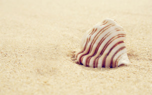     589211 (a):MariJane :2560x1600