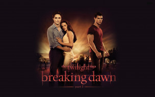 The Twilight Saga: Breaking Dawn - Part 1     2560x1600 the, twilight, saga, breaking, dawn, part, , , , , , 