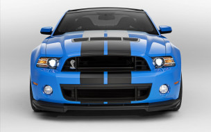 Ford Shelby GT500 - 2013     1920x1200 ford, shelby, gt500, 2013, , mustang
