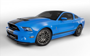 Ford Shelby GT500 - 2013     1920x1200 ford, shelby, gt500, 2013, , mustang
