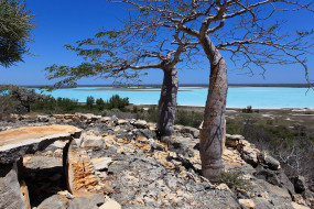    595962 (a):Barborka :1600x1067