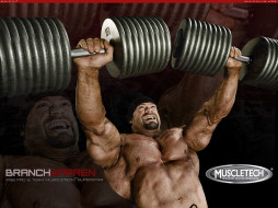 MuscleTech     1600x1200 muscletech, , branch, warren