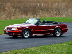 Mustang GT 5.0 Convertible     2048x1536 mustang, gt, convertible, 