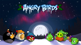 angry birds     1920x1080 angry, birds, , 