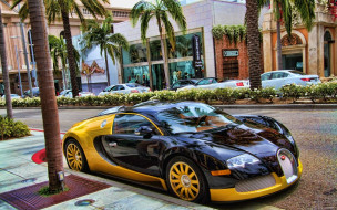 Bugatti Veyron 16.4     2560x1600 bugatti, veyron, 16, , , , , 16-4, , , , 