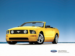 Ford Mustang     1024x768 ford, mustang, 
