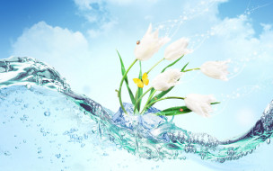     605181 (a):Zapyatochka :1920x1200