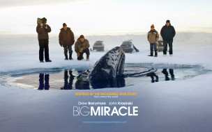 Big Miracle     1920x1200 big, miracle, , 