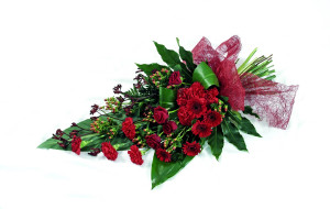     606952 (a):ARWENN :3000x1900
