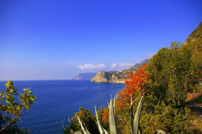     607486 (a):ARWENN :2500x1662