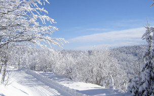     608724 (a):Barborka :1920x1200