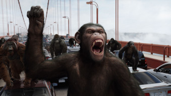      2042x1146 , , rise, of, the, planet, apes, , , , , 