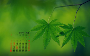     610840 (a): :1920x1200