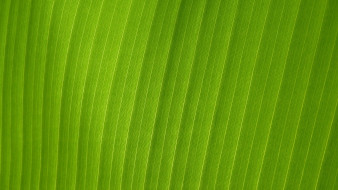     612487 (a): :1920x1080