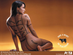 .     1600x1200 , peta, people, for, the, ethical, treatment, of, animals, , 
