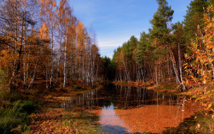     616634 (a): :2560x1600