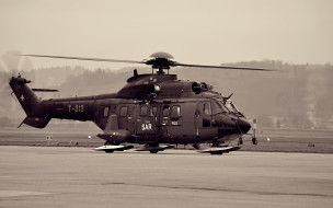 as332, super, puma, , , 