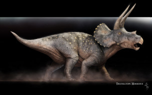 Triceratops Horridus     1920x1200 triceratops, horridus, , , , , , 